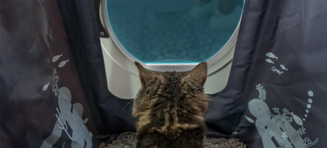 Kat binnen Maya kattenbak meubel met privacy