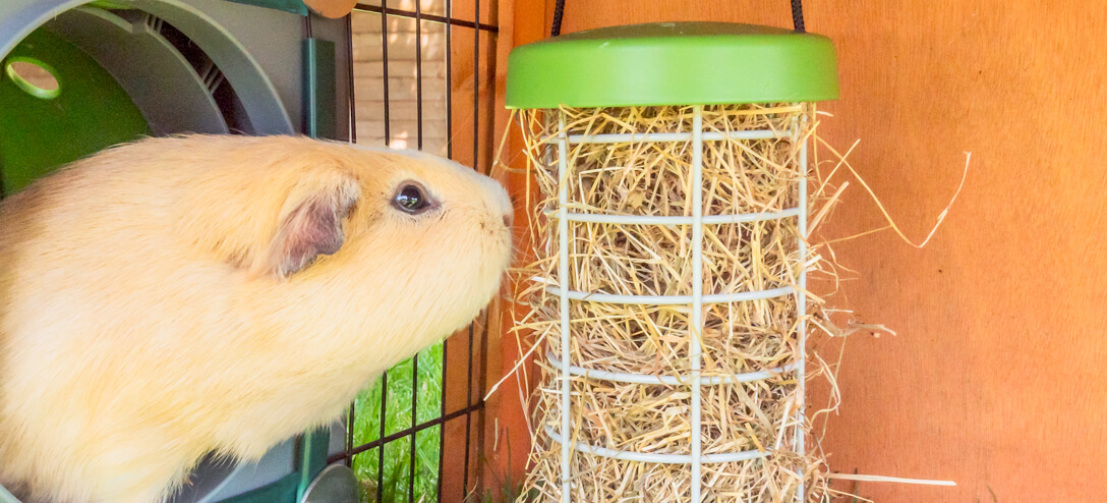 De feeder beweegt langzaam heen en weer als het voer wordt gegeten, wat zorgt voor een leuke uitdaging voor uw cavia’s