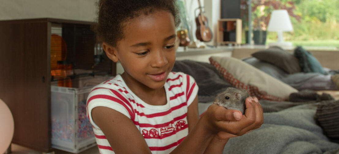 Kinderen houden van de Qute hamsterkooi Kinderen houden van de Qute hamsterkooi