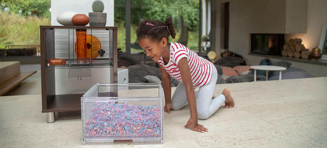Een kind kijkt naar een hamster in een holendoos van een Qute hamsterkooi Een kind kijkt naar een hamster in een holendoos van een Qute hamsterkooi