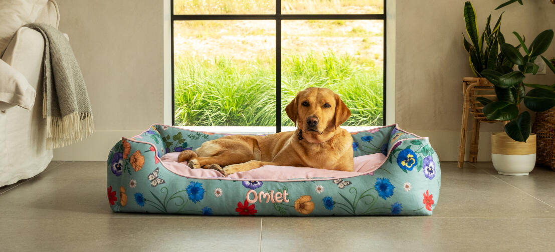 Retriever op groot hondenbed in gardenia sage print.