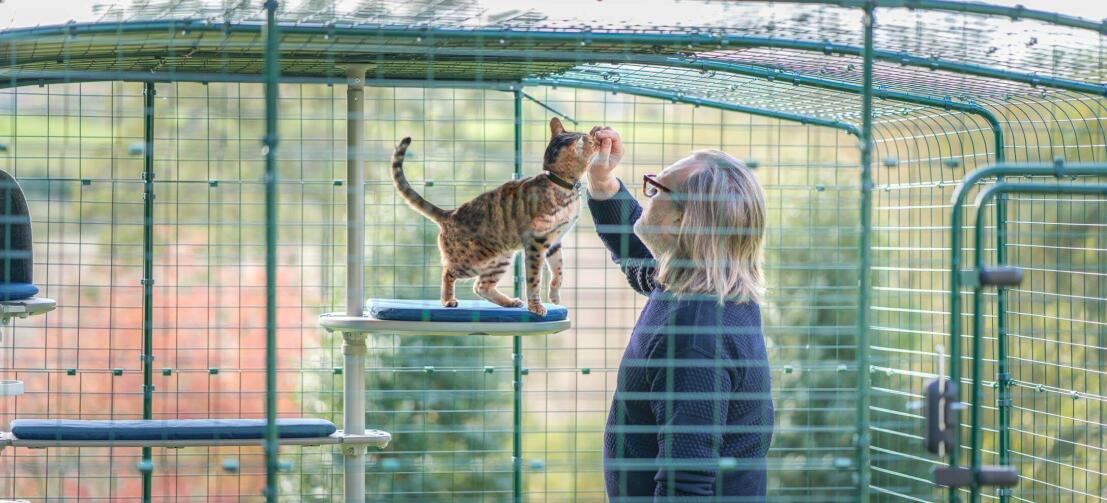 Man en kat in een kattenverblijf die genieten van de gepersonaliseerde buitenkattenboom