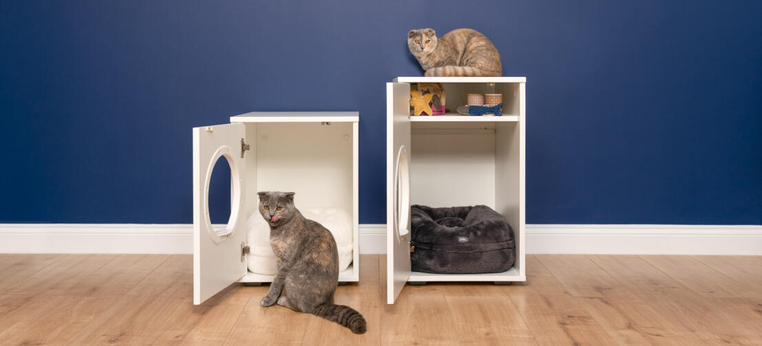 Twee Maya kat binnenkatten huizen met kat voor en een op de top