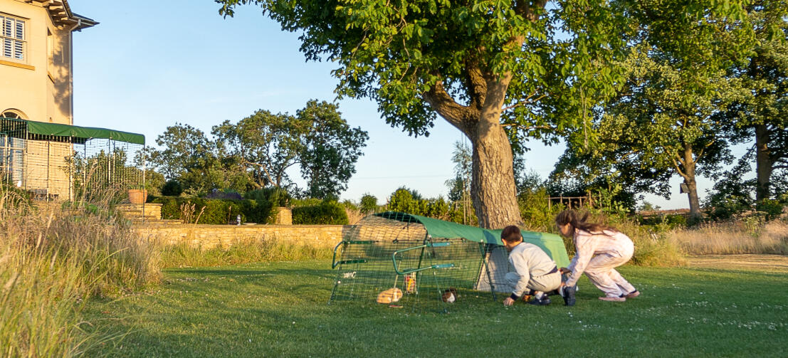 Twee kinderen in interactie met hun cavia's in Eglu Go hok ren naast huis.