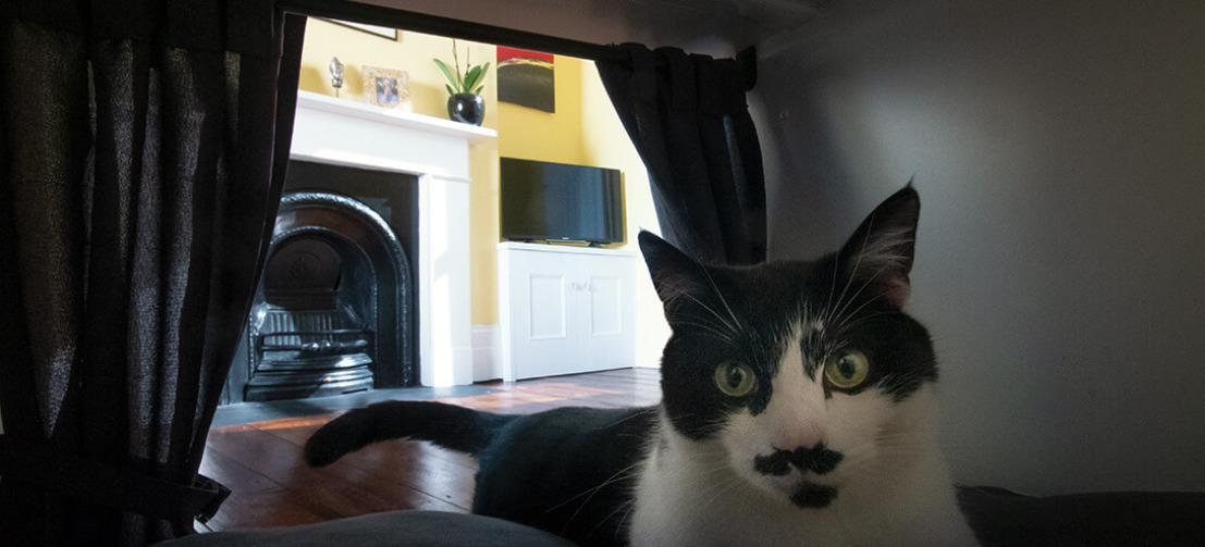 Katten vinden het heerlijk om uit te rusten en slapen geregeld meer dan zestien uur per dag. Het is daarom belangrijk dat ze een plek hebben die helemaal van hen alleen is