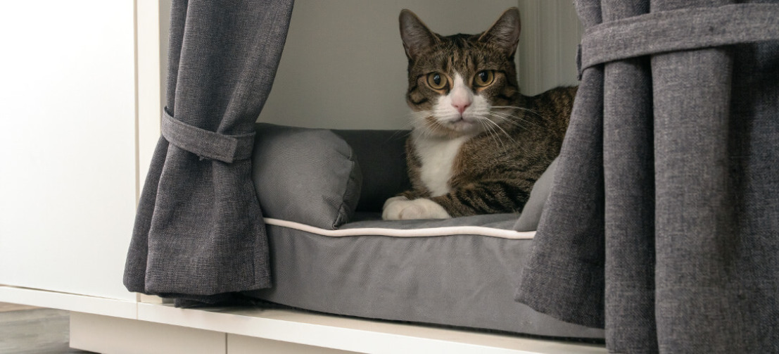 Door de mand van uw kat van de grond te halen biedt het Maya Nook kattenhuis bescherming tegen onder andere tocht