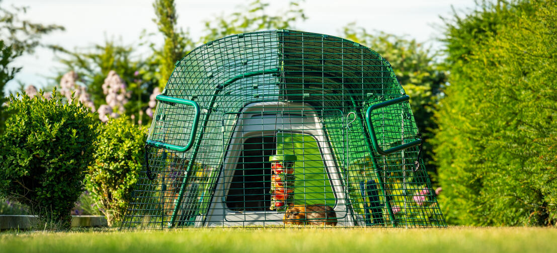 Vooraanzicht van Eglu Go hok in tuin, met cavia en Caddi traktatiehouder in de ren.