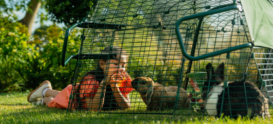 Een kind dat haar konijn watermeloen voert door het gaas van de ren.