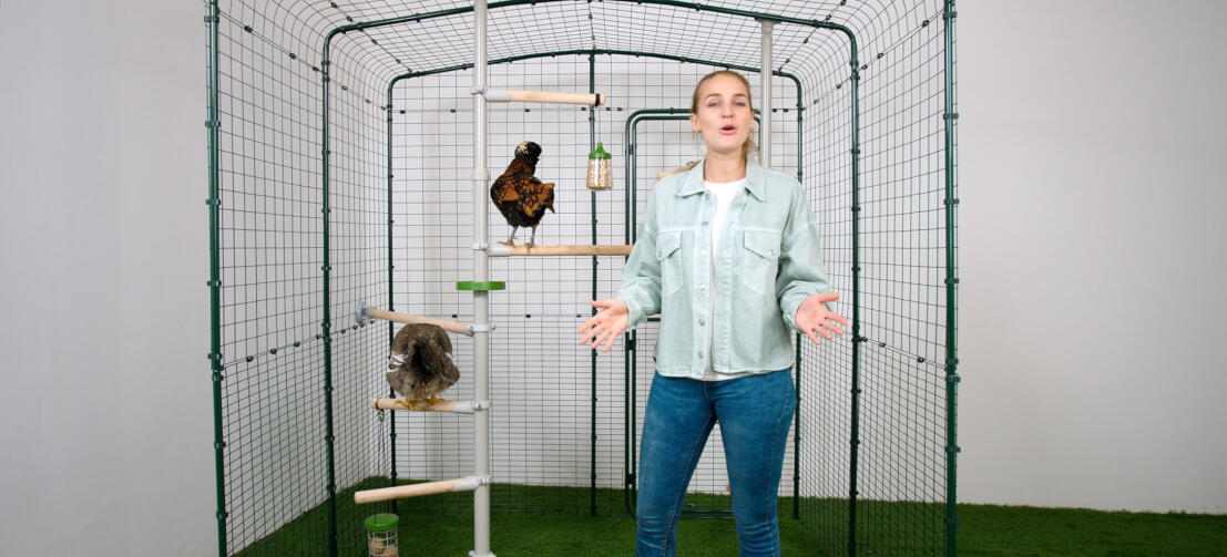 Vrouw naast een Poletree zitstok voor kippen