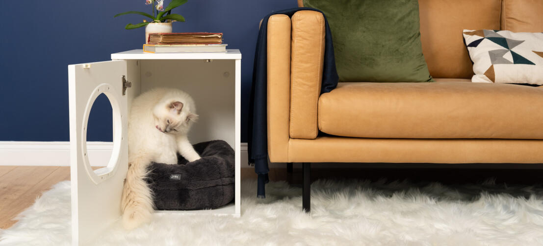 Schattige witte pluizige kat zit binnen in Maya binnenkattenhuis op een zwart Maya donut kattenbed naast bank