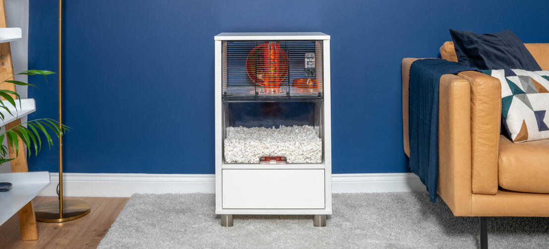 Moderne witte hamster Qute kooi in een woonkamer