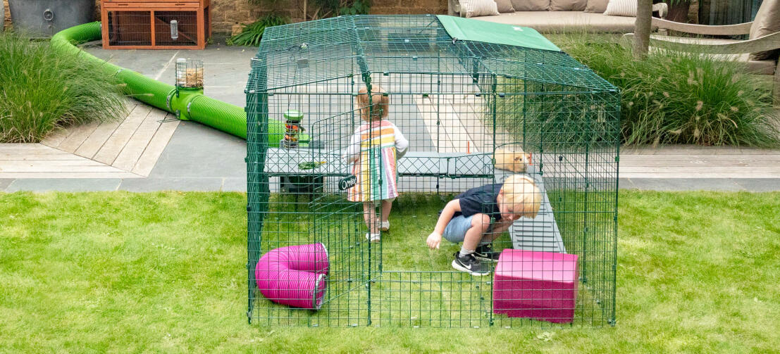 Twee kinderen spelen met cavia's in de ren Zippi 