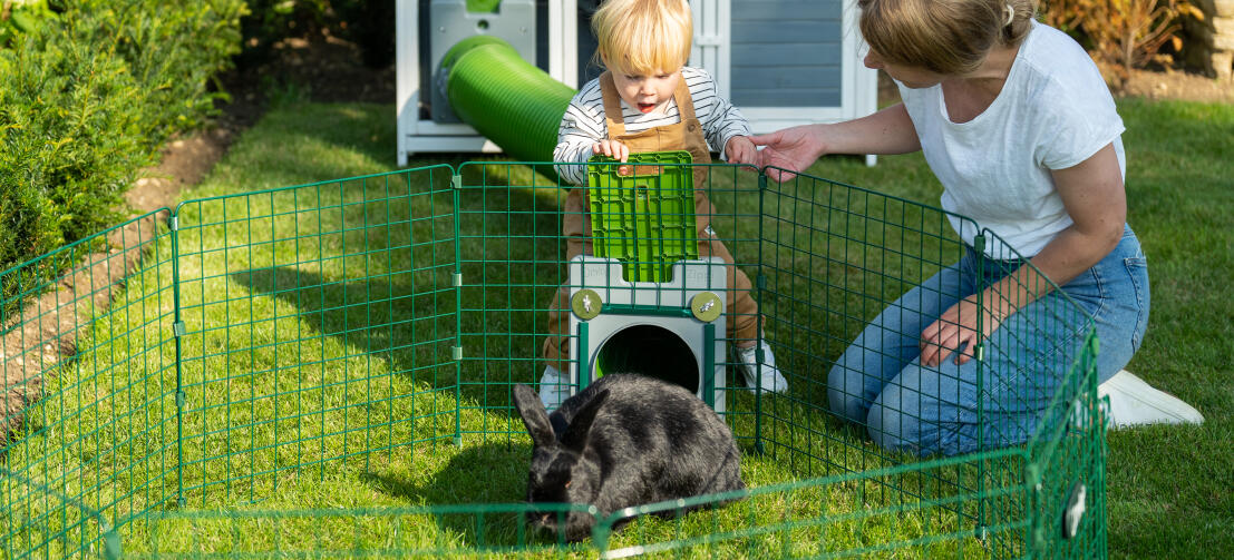 Familie speelt met hun konijn in een Zippi box.
