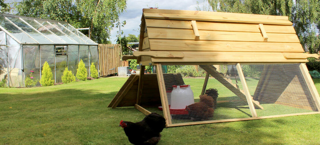 Het Boughton kippenhok is voorzien van een deur zodat de kippen vrij kunnen rondscharrelen