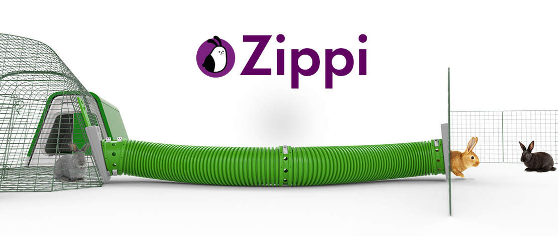 Konijntjes lopen door een groene Zippi rennel van een Go kooi naar een dierenren