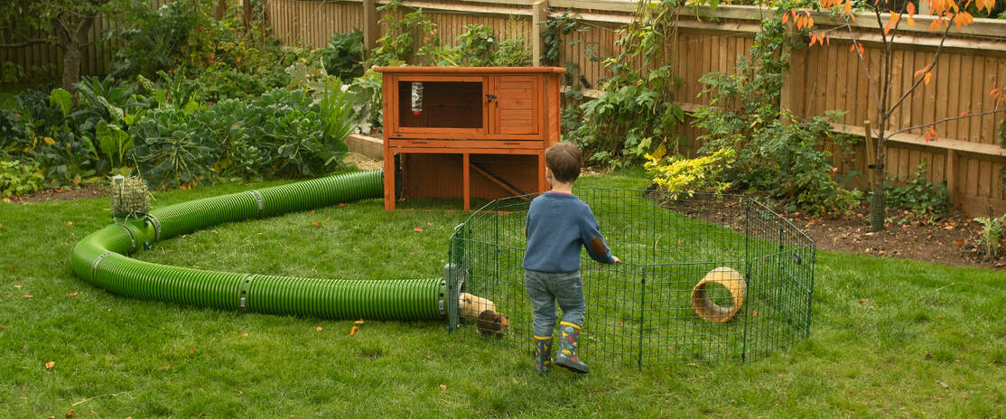 Een kind speelt met twee cavia's in een box die verbonden is met een Zippi tunnel naar een hok