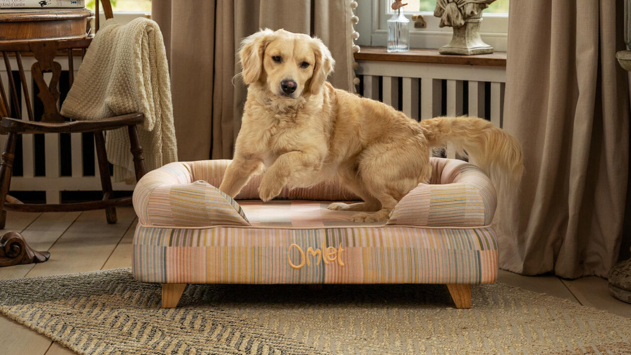 Labrador springt van verhoogd bolster hondenbed in pawsteps natuurlijke print met houten vierkante poten.