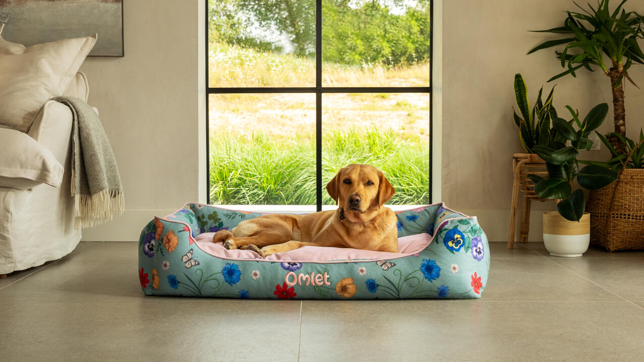 Retriever liggend in een gebloemd nestbed in een luchtige moderne leefruimte