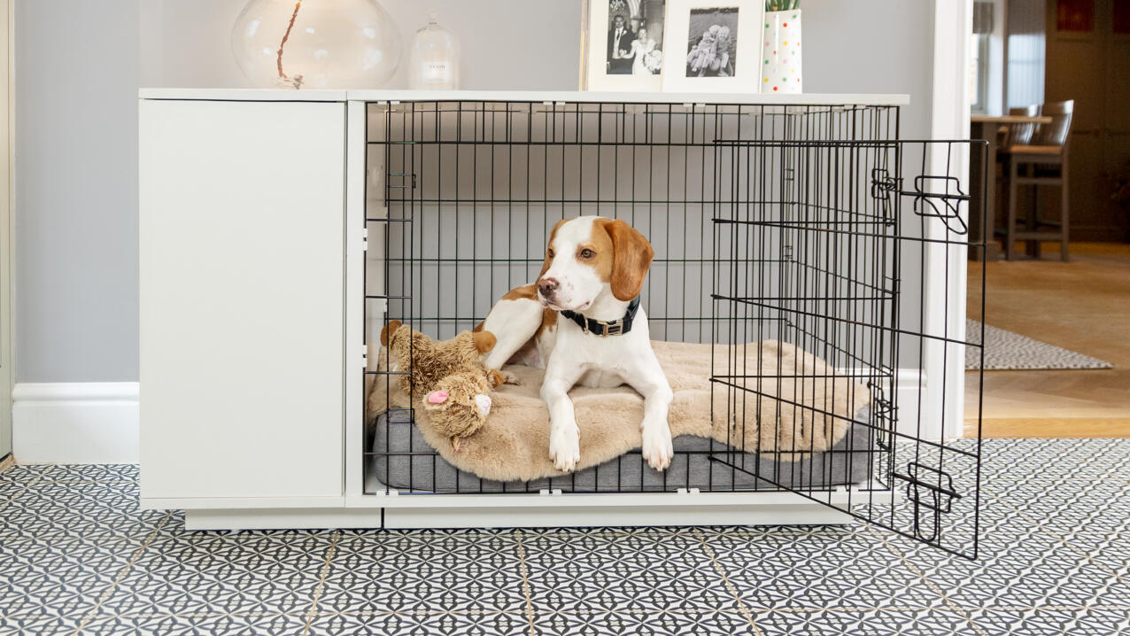Een beagle liggend op een Topology hondenbed in een bench