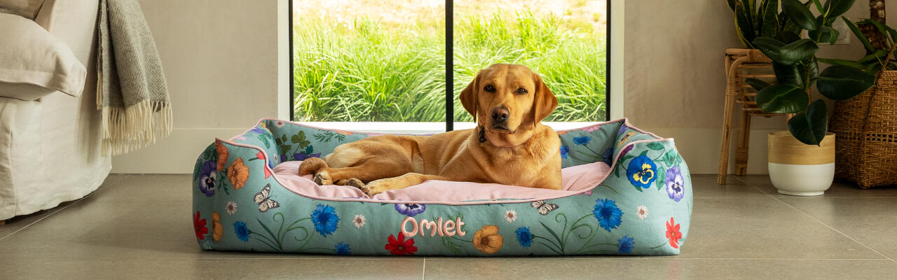 Labrador retriever op groot hondenbed in gardenia sage print.