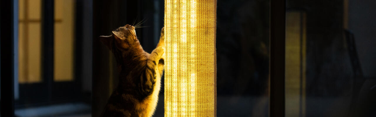 Switch duurzame sisal lichtgevende kattenkrabber