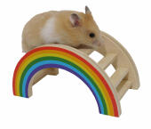 Hamsters klimmen graag op de regenboog speelbrug