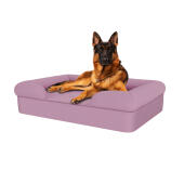Hond zittend op lavendel lila groot traagschuim hondenbed