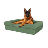 Hond zittend op salie groen groot memory foam bolster hondenbed