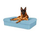 Hond zittend op hemel blauw groot geheugenschuim bolster hondenbed