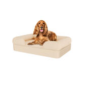 Hond zittend op medium natuurlijke beige traagschuim bolster hondenbed
