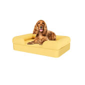 Hond zittend op mellow yellow medium memory foam bolster hondenbed