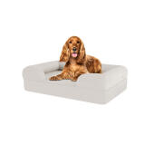 Hond zittend op medium meringue wit traagschuim bolster hondenbed