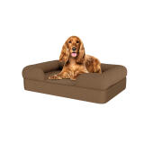 Hond zittend op medium mokka bruin memory foam bolster hondenbed