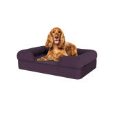 Hond zittend op medium pruim paars memory foam bolster hondenbed