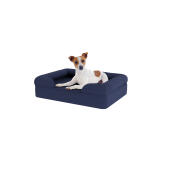 Hond zittend op klein middernacht blauw traagschuim bolster hondenbed