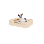 Hond zit op kleine natuurlijke beige traagschuim bolster hondenbed