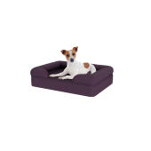 Hond zittend op klein pruim paars geheugen schuim bolster hondenbed