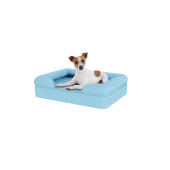 Hond zittend op klein hemel blauw geheugenschuim bolster hondenbed