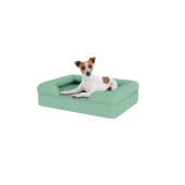 Hond zittend op klein blauw traagschuim bolster hondenbed