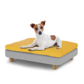 Kleine hond zittend op klein Topology hondenbed met bonenzak topper en ronde houten voetjes