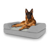 Hond zittend op groot Topology hondenbed met bolster topper