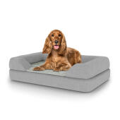 Hond zittend op medium Topology hondenbed met bolster topper