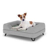Hond zittend op een klein Topology hondenbed met grijze bolster topper en zwarte metalen haarspeld voeten