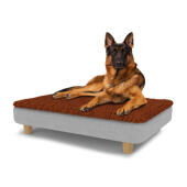 Hond zittend op een groot Topology hondenbed met microvezel topper en houten ronde poten