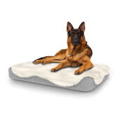 Hond zittend op groot Topology hondenbed met schapenvacht topper