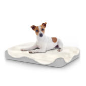 Hond zittend op klein Topology hondenbed met schapenvacht topper