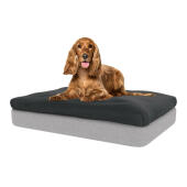 De zitzak topper zal uw hond onovertroffen comfort bieden.