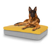 Hond zittend op groot Topology traagschuim hondenbed met zitzak topper