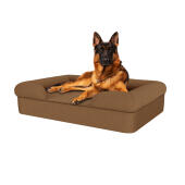 Hond zittend op geroosterde kokosnoot groot traagschuim bolster hondenbed