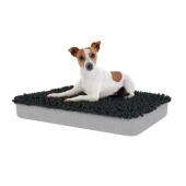 Hond zittend op medium Topology hondenbed met houtskool grijze microvezel topper